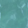 Nomade vert